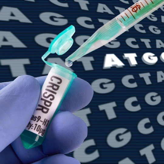 Detalhes do medicamento CRISPR