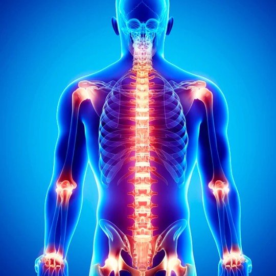 Figura de corpo humano com detalhes