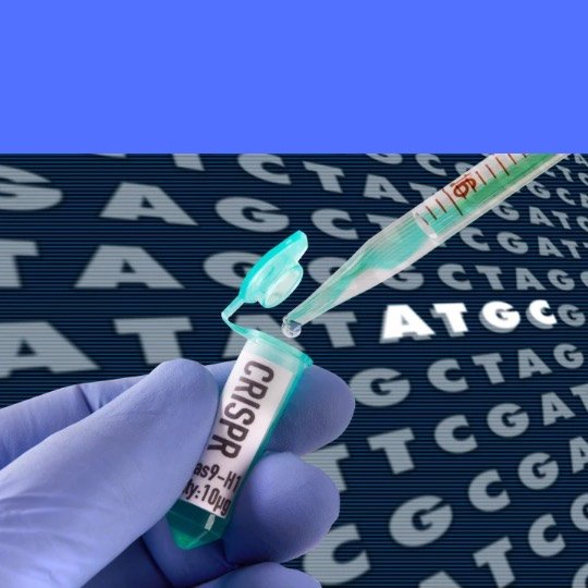 Arte com o nome do remédio